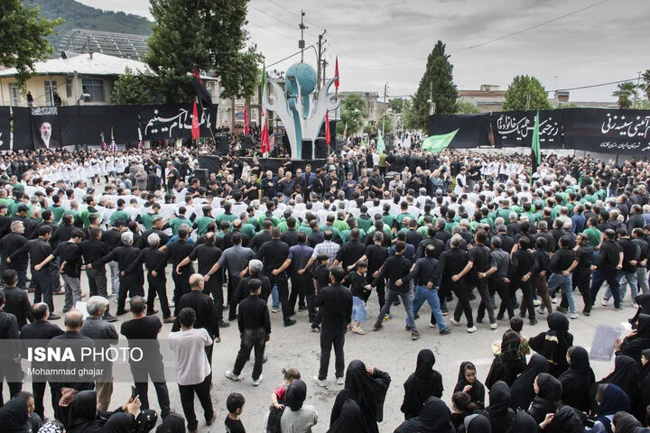 گذری بر شعر حماسی نصرالله مردانی، قیصر امین‌پور و سیدحسن حسینی