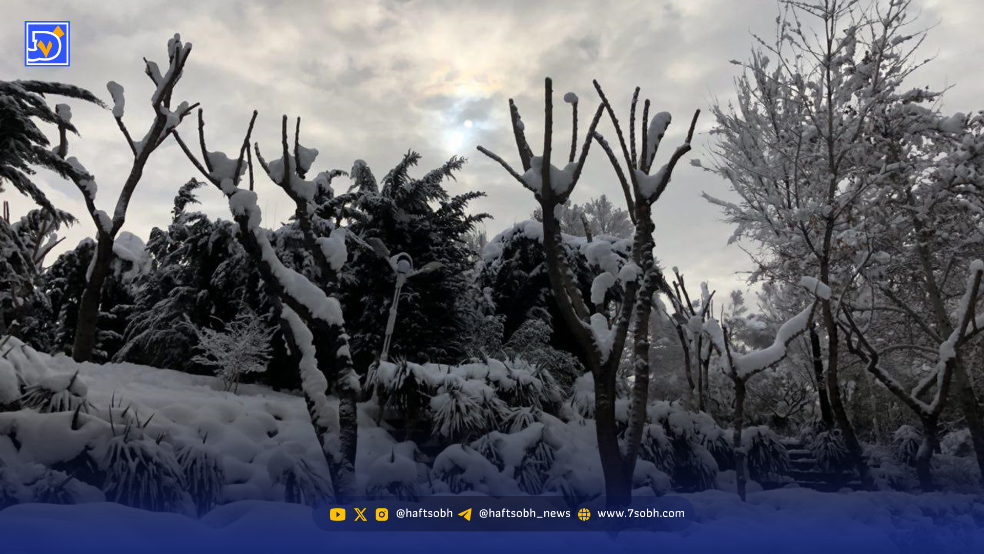 هوای تهران سردتر میشود؛ احتمال یخبندان در مناطق شمالی