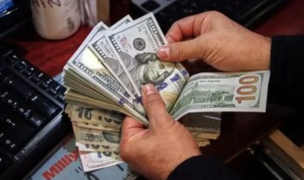 یک پیش بینی مهم درباره نرخ دلار در سال جاری؛ منتظر این اتفاق باشیم؟