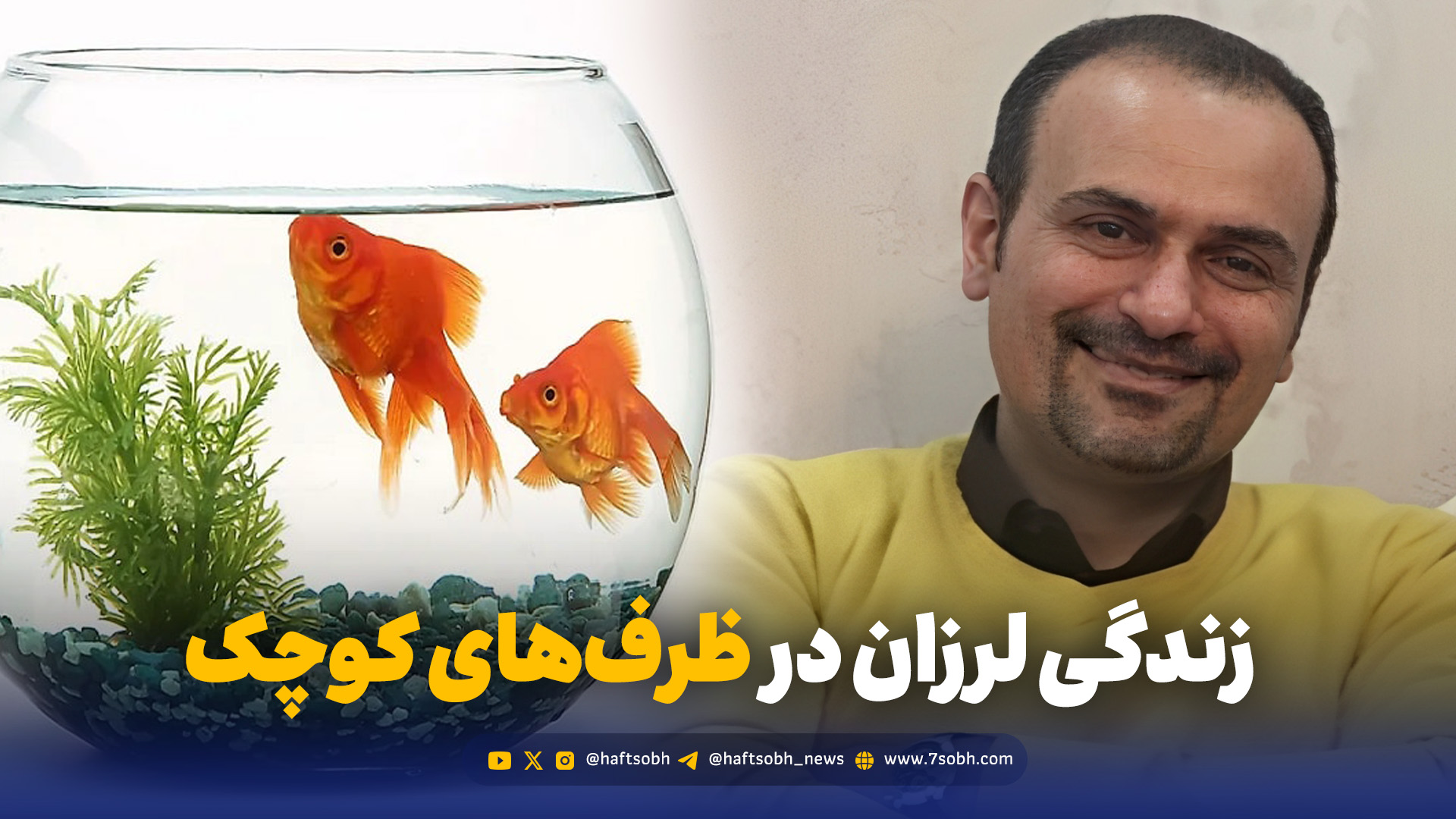 زندگی لرزان در ظرف‌های کوچک