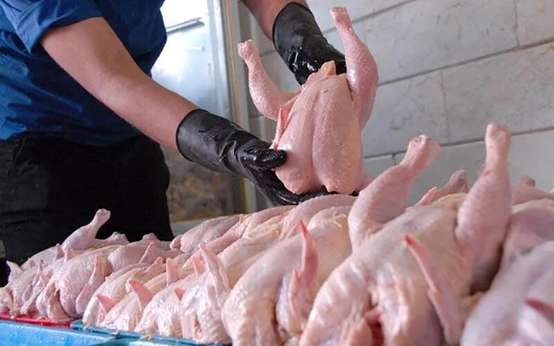 قیمت رسمی مرغ در بازار امروز پنجشنبه ۳۱ اردیبهشت ۱۴۰۵ اعلام شد