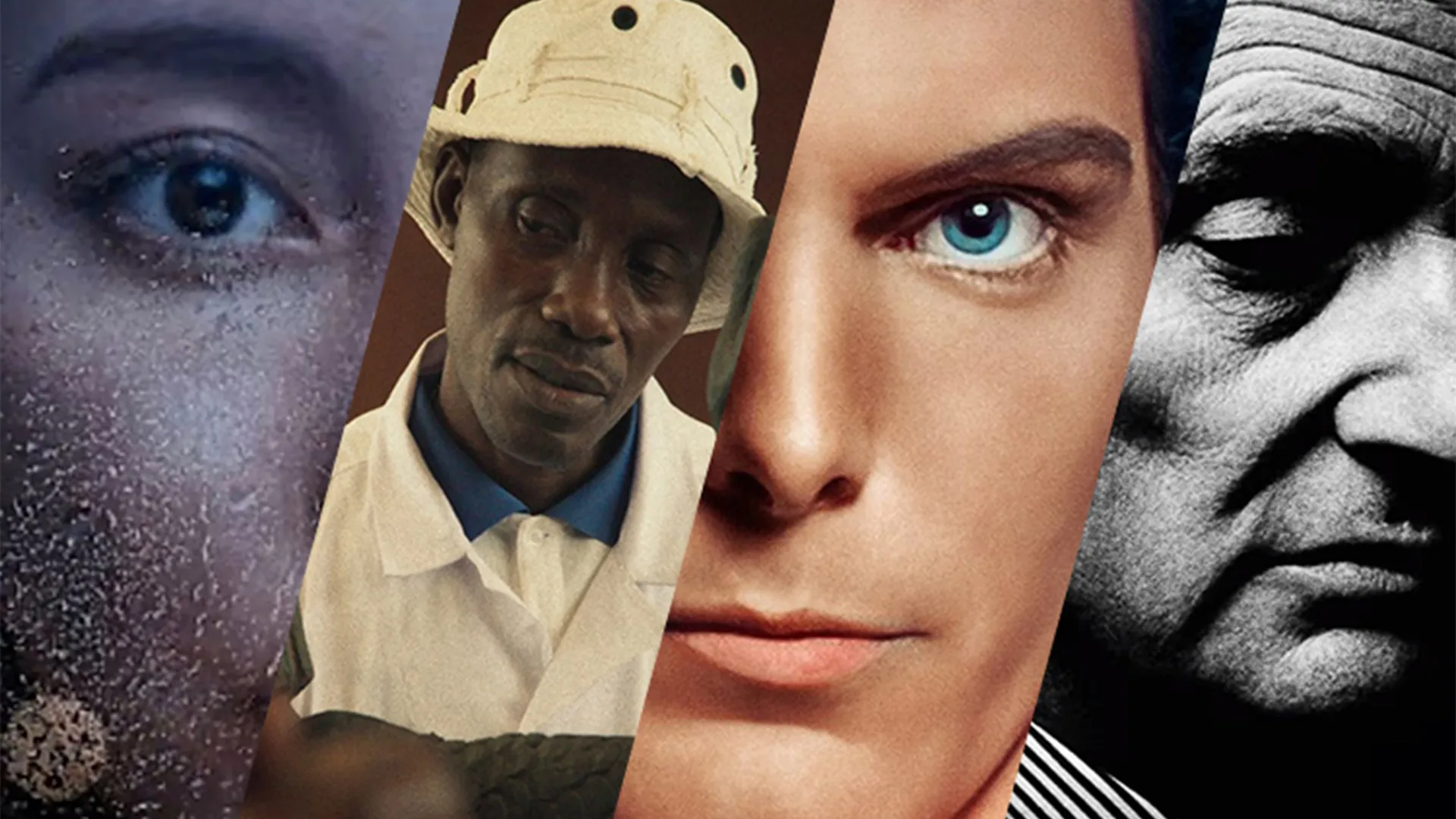 بهترین مستندهای ۲۰۲۴