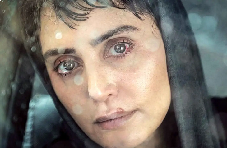 فیلمی که الناز شاکردوست در آن بازی کرده، یک درام هندی است؟