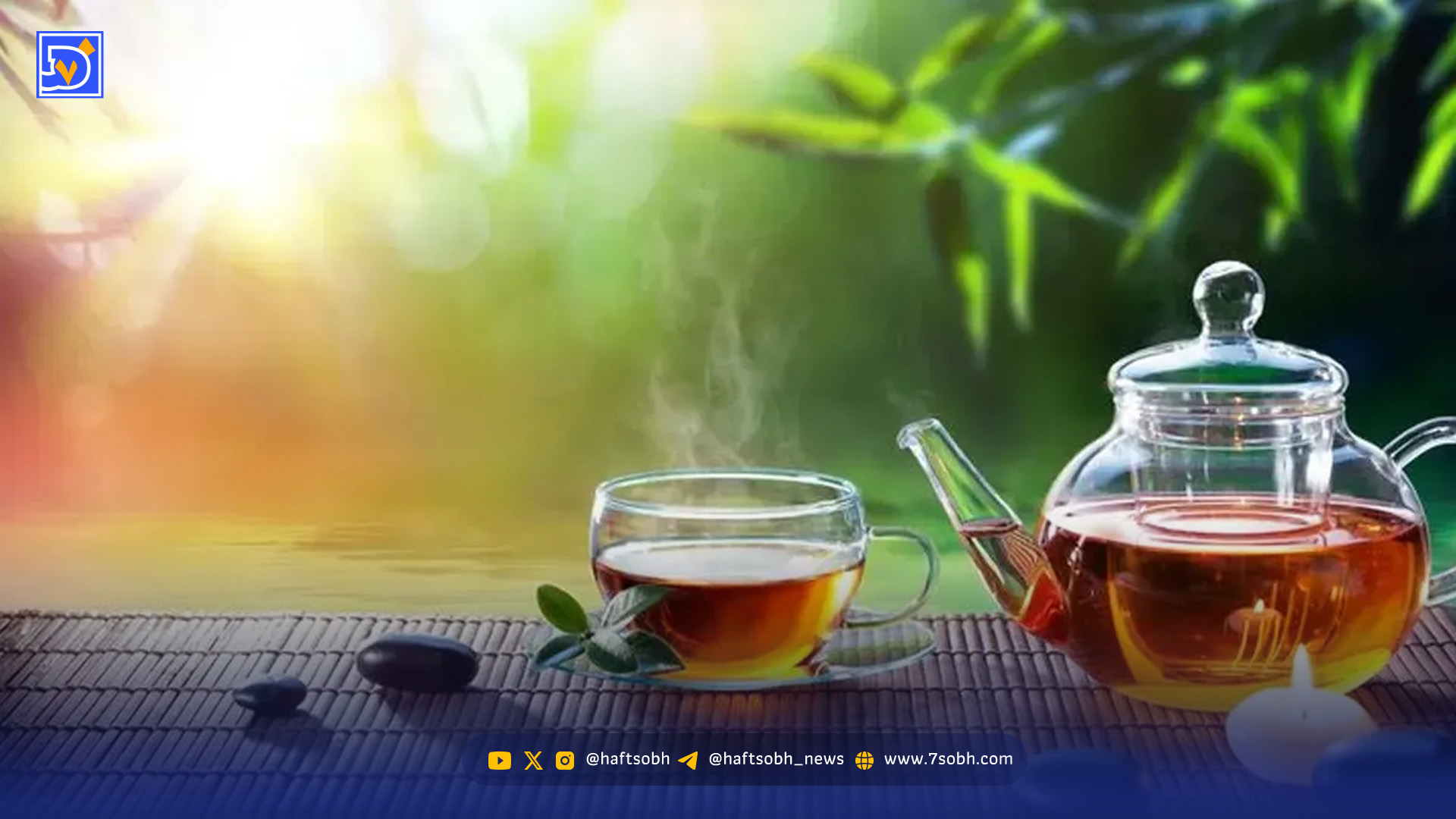 بهترین زمان نوشیدن انواع چای کدام است؟