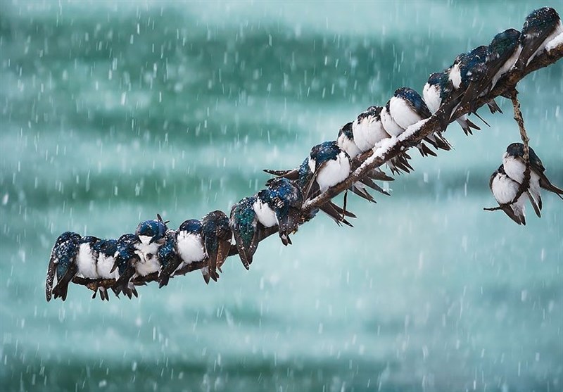 هواشناسی ایران1404/9/24؛هشدار قرمز هواشناسی برای 4 استان/برف و باران کشور را فرا میگیرد