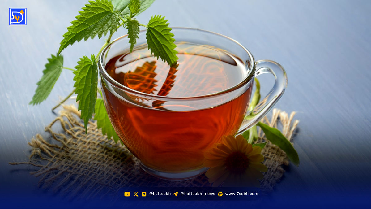 ۷ دمنوش برای تقویت ایمنی