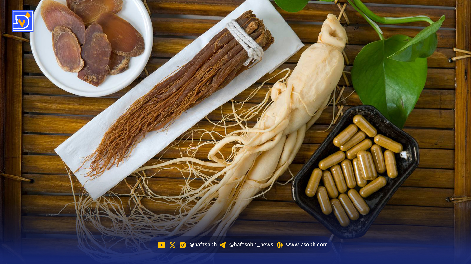 جینسینگ؛ ریشه‌ای گران و پرطرفدار