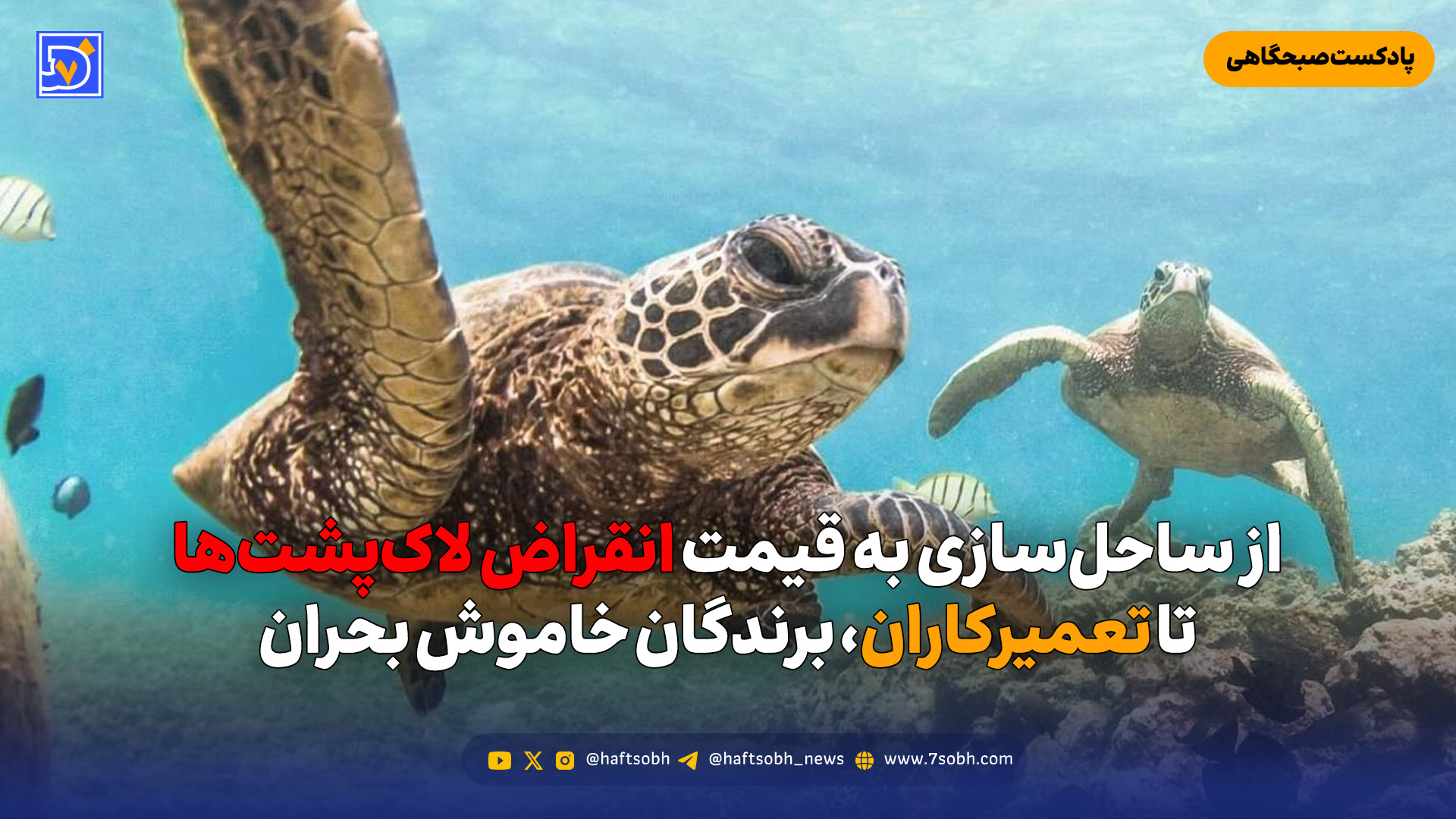 از ساحل‌سازی به قیمت انقراض لاک‌پشت‌ها تا تعمیرکاران، برندگان خاموش بحران