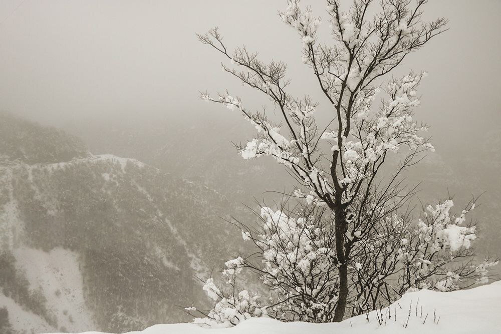 بارش برف زمستانی در تهران + فیلم
