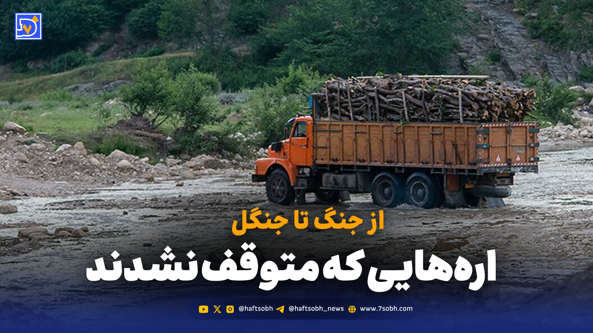 از جنگ تا جنگل؛ اره‌هایی که متوقف نشدند