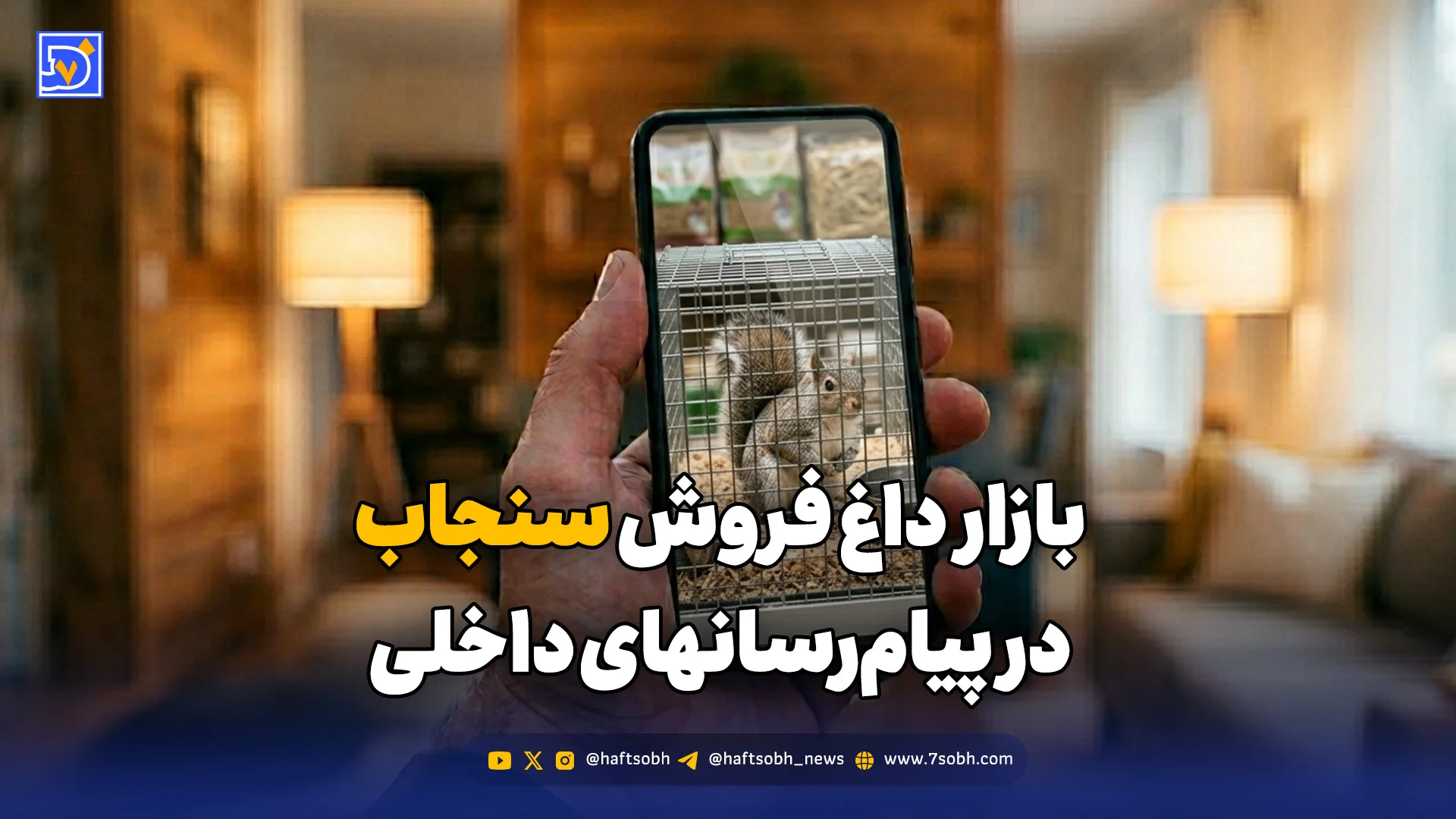 بازار داغ فروش سنجاب‌ در پیام‌رسانهای داخلی