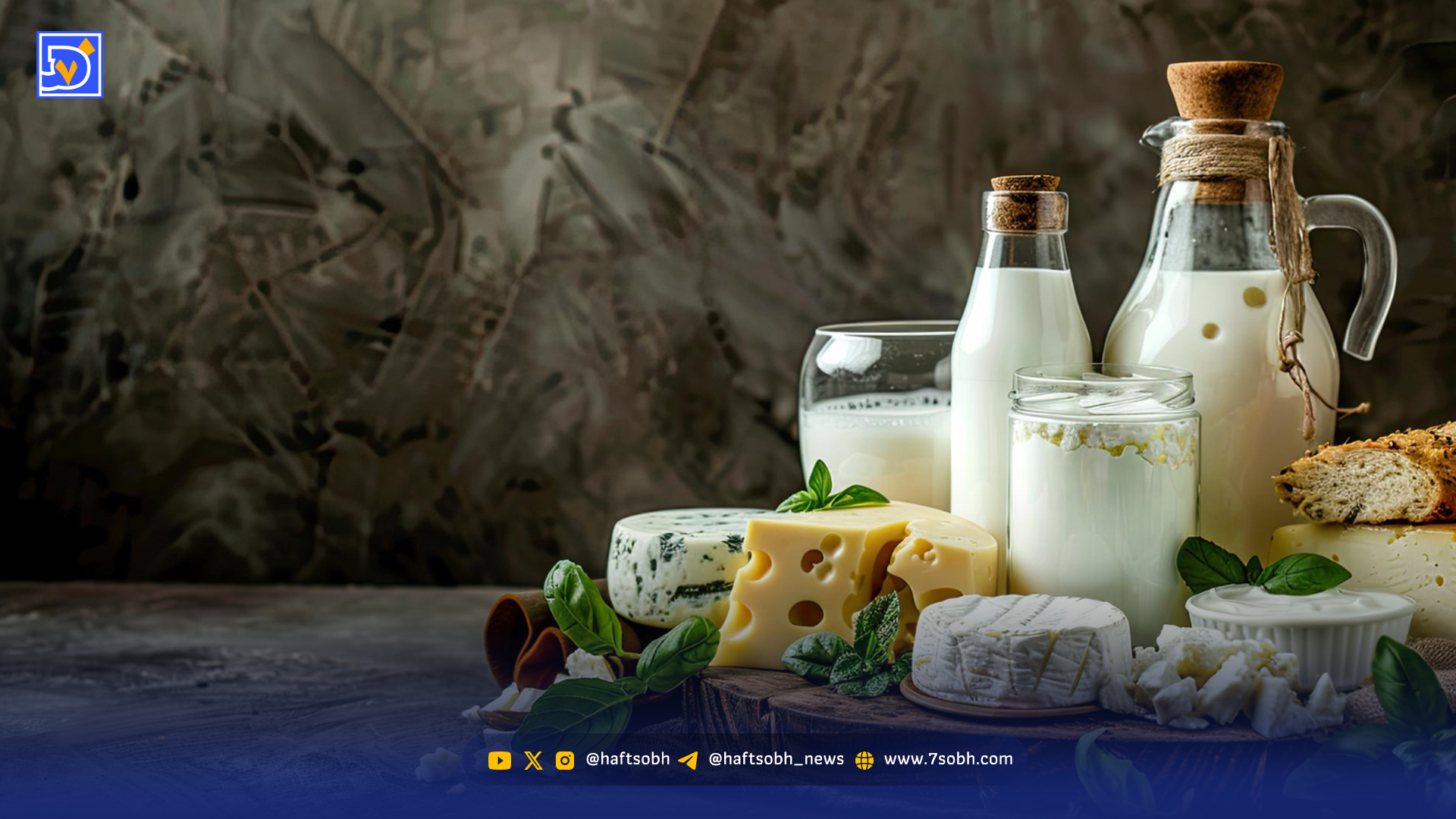 ایالات متحده پنیر | انسان چگونه پنیر را کشف کرد؟