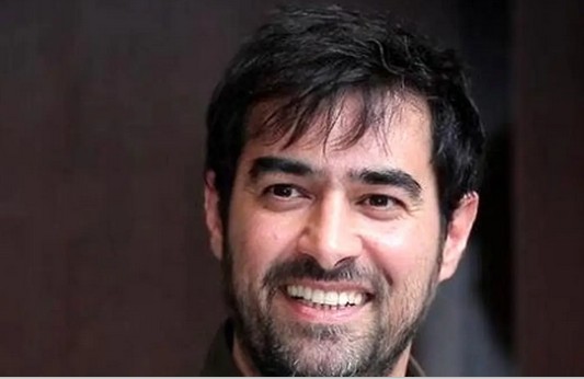 عکس/ قاب عاشقانه و احساسی شهاب حسینی و همسر جوانترش/ دست در دست هم / به پای هم پیر بشن