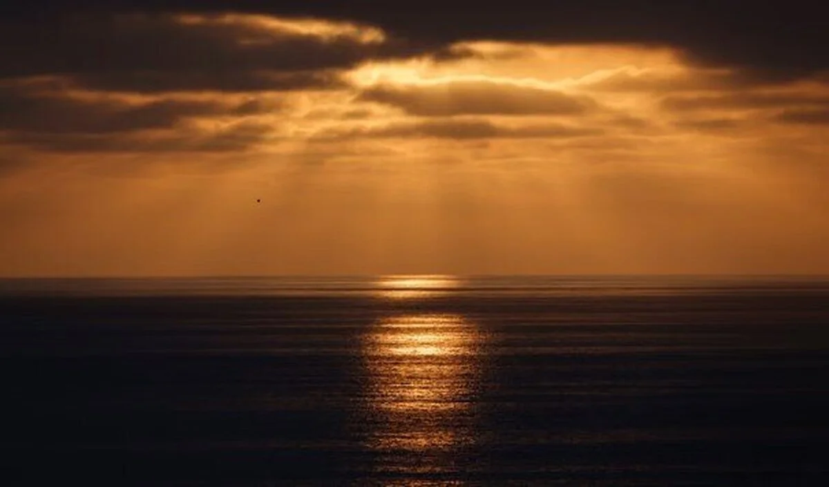 زنگ هشدار اقلیمی/ دمای دریاهای جهان دوباره اوج گرفت