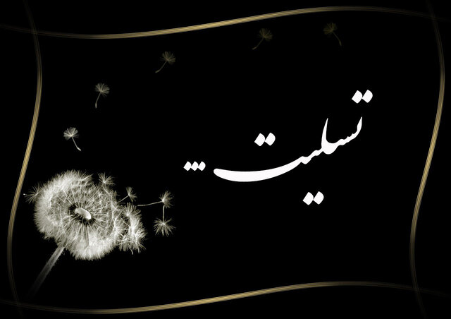 شهادت دو دانشجوی دانشگاههای «تهران» و «امیرکبیر» در پی حملات اخیر