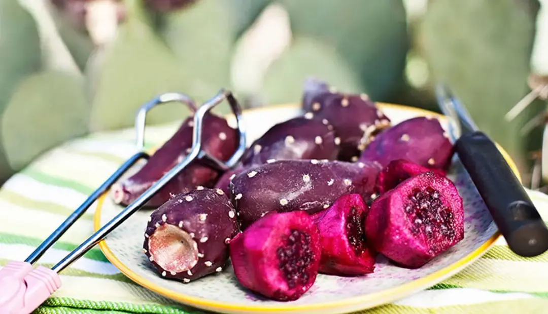 ۷ خاصیت شگفتانگیز میوه کاکتوس