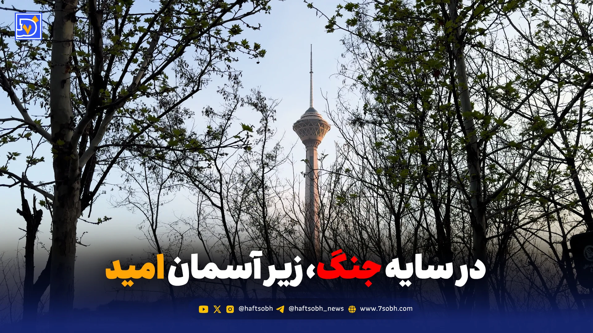 در سایه جنگ، زیر آسمان امید