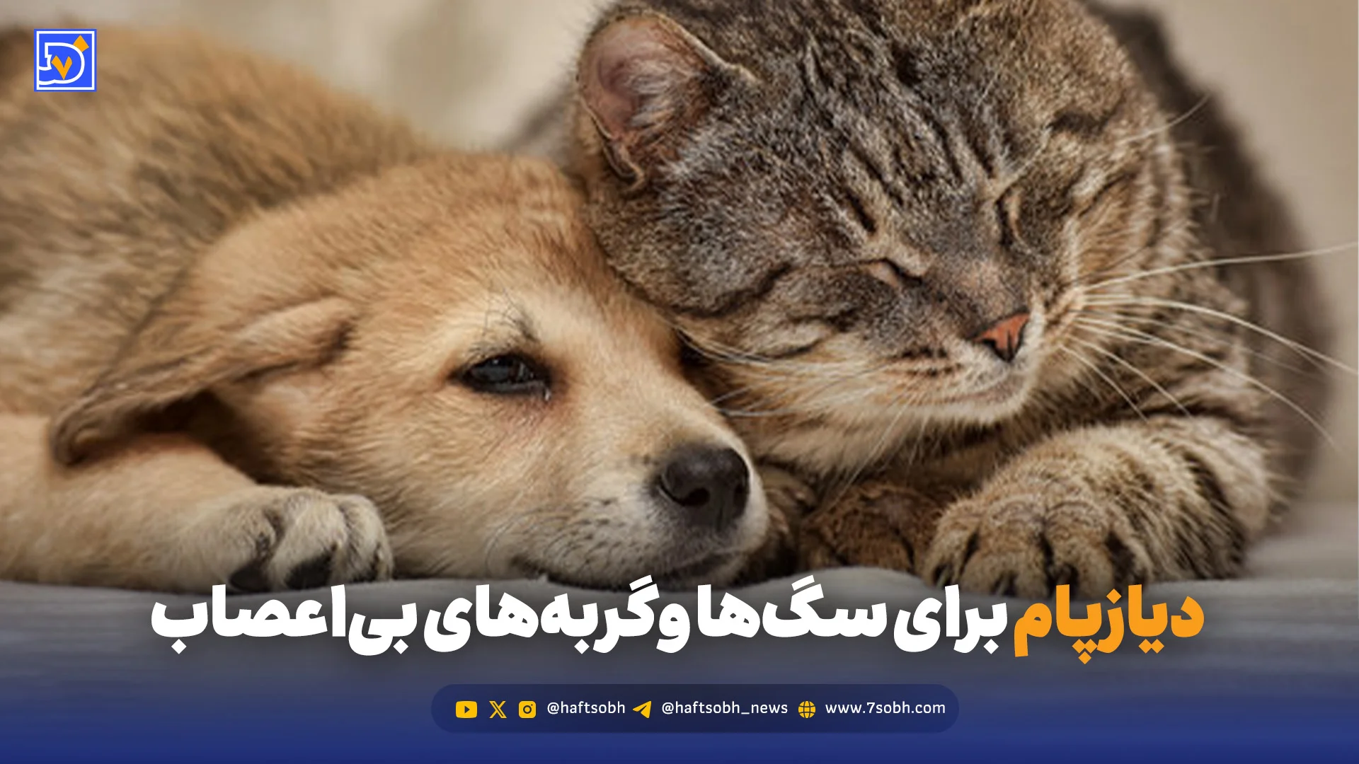 دیازپام برای سگ‌ها و گربه‌های بی‌اعصاب