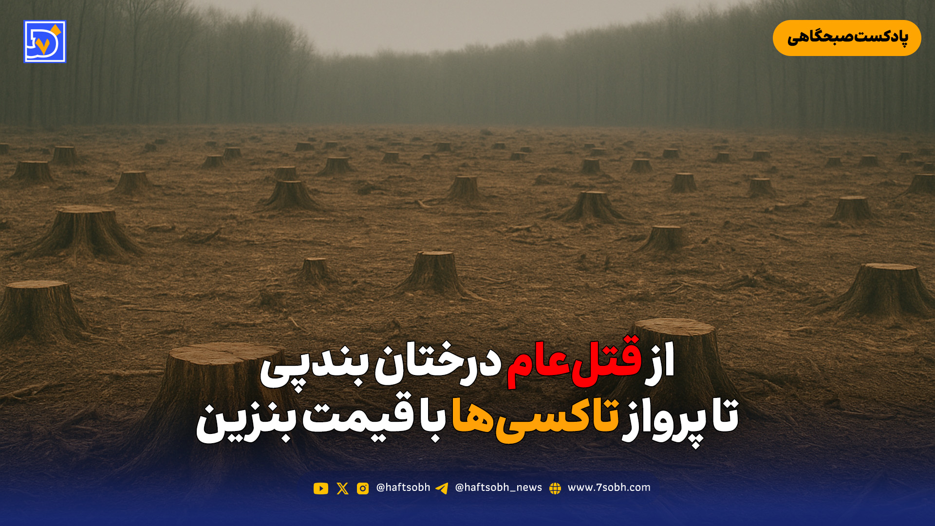 از قتلعام درختان بندپی تا پرواز تاکسیها با قیمت بنزین