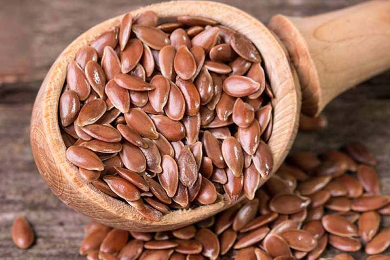 بهترین زمان مصرف دانه کتان برای لاغری