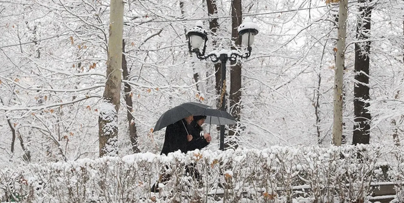 عکس| تهران برفی / حال خوب