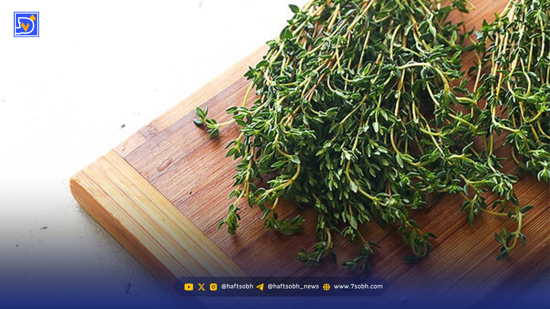 گیاه خوش‌عطری که برای کاهش فشار و چربی خون معجزه می‌کند