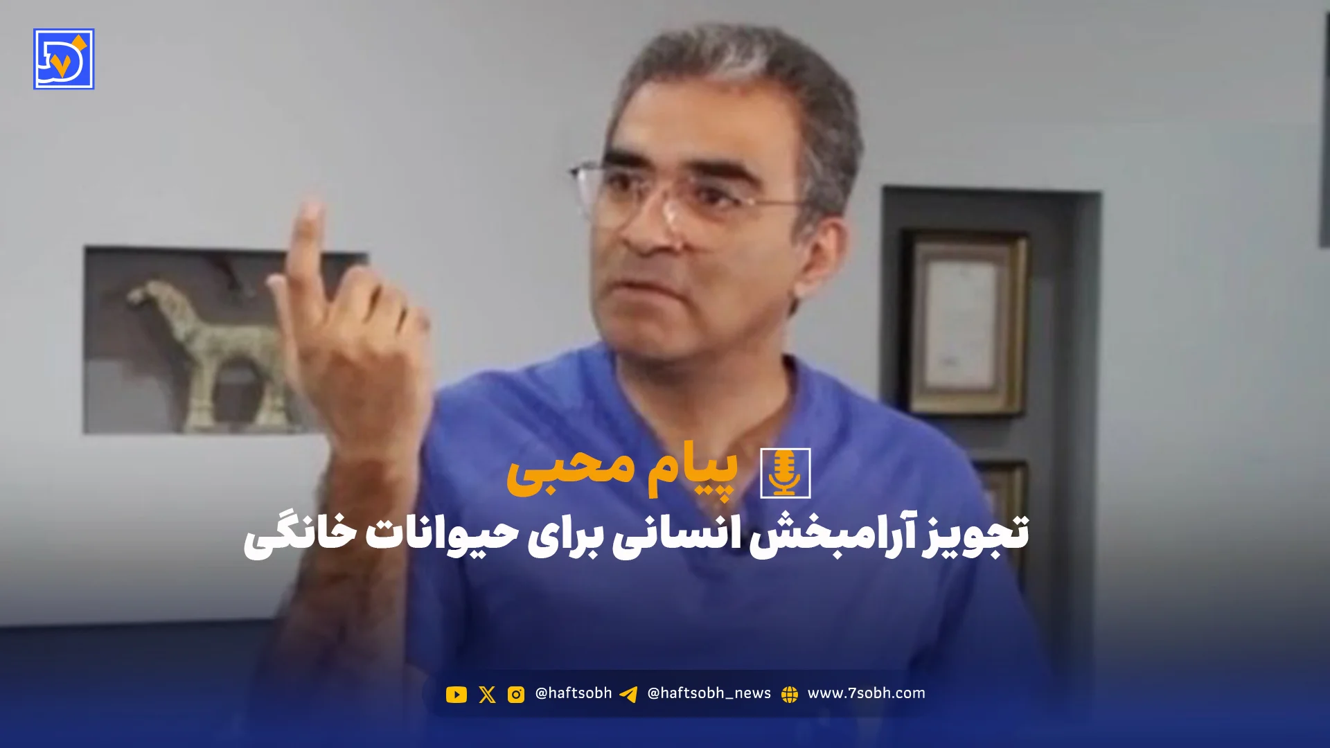 تجویز آرامبخش انسانی برای حیوانات خانگی